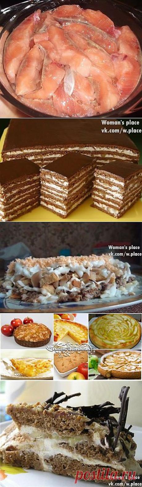 Woman's place|Прекрасная женщина, лучшая хозяйка | ВКонтакте