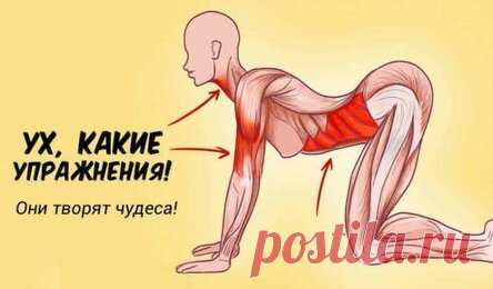 7 упражнений, которые творят чудеса с женским организмом