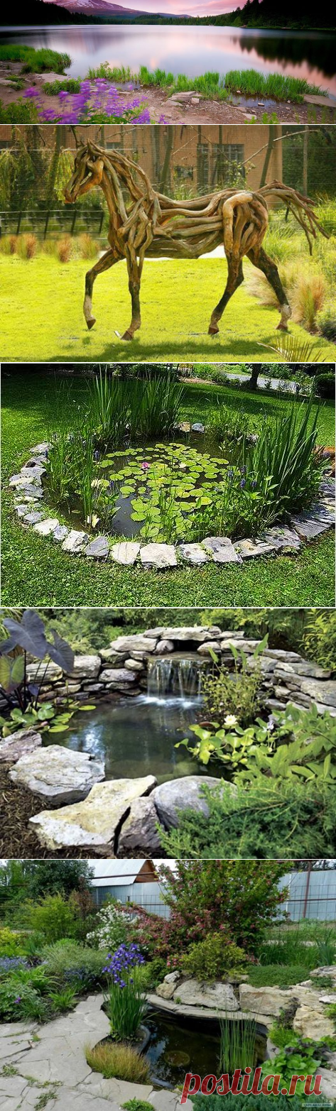 Наш сад и дача