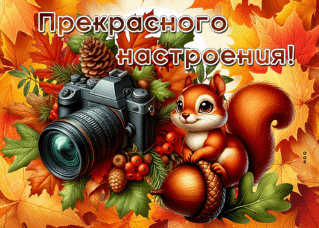 Прекрасная гиф-открытка, самого распрекрасного настроения