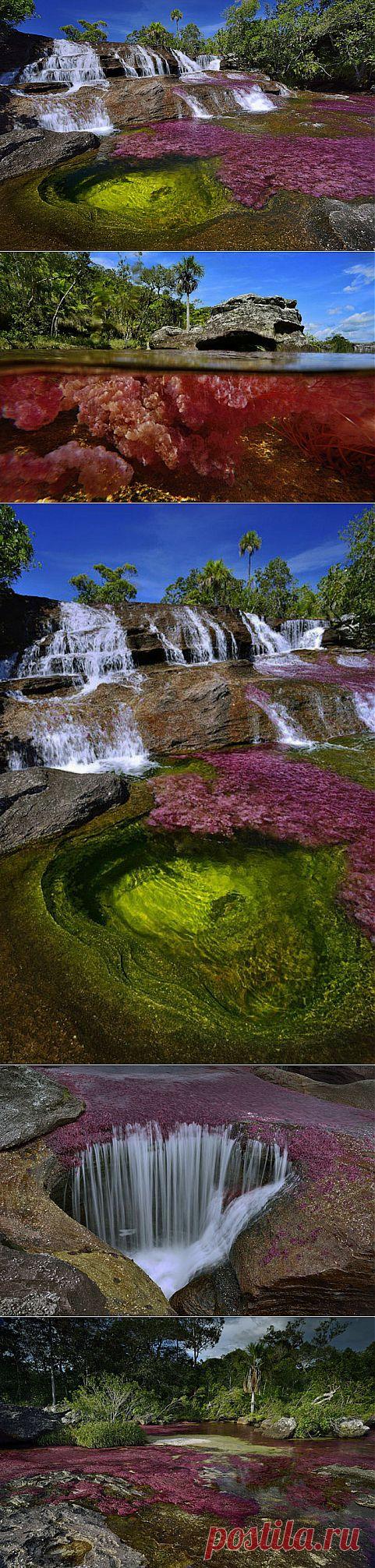 (+1) комм - Река пяти цветов | Непутевые заметки