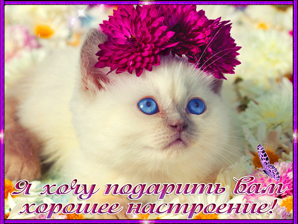 Плейкасты -