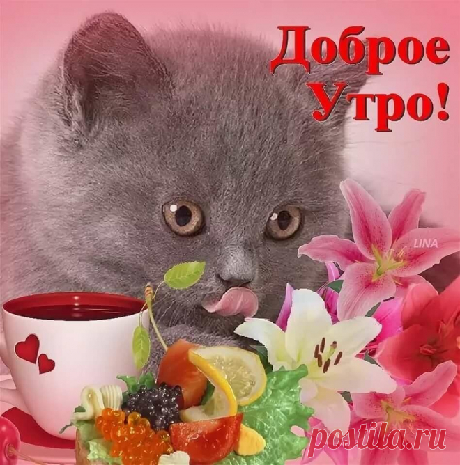 Пусть этот день начнётся с доброты
и с чьей-то удивительно улыбки
Кому-то, кто-то принесет цветы
Или пришлет записку на открытке
А кто-то приготовит крепкий чай
добавив пару ломтиков лимона
и скажет «Больше не скучай…
Когда ты так грустишь, мне тоже плохо»
А кто-то поцелует нежно в лоб
обнимет крепко хрупкие ладошки
и растворив ноябрьский озноб
в мечтах и в нежности и в счастье понемножку
Пусть этот день начнётся с теплых глаз
и расцветая радостью на сердце
Пусть кто-то ул...