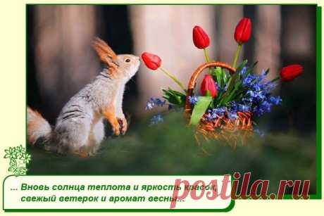Хорошее настроение рядом