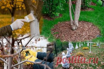 Зимовка растений