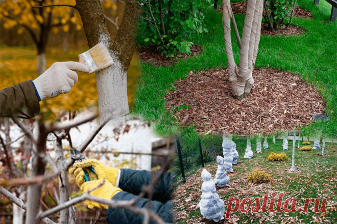 Зимовка растений