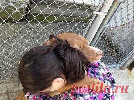 Спасенный и спаситель