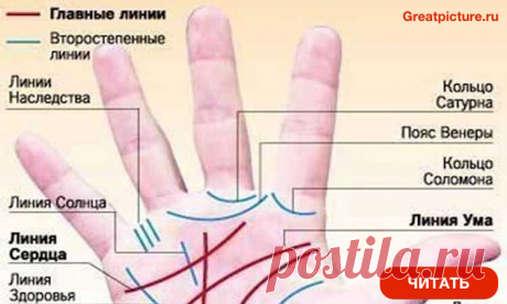Профессия написана на вашей ладони. Не могу не согласиться с этим! Профессия написана на вашей ладони.Не могу не согласиться с этим!Кто бы мог подумать, что по линиям на ладони можно определить