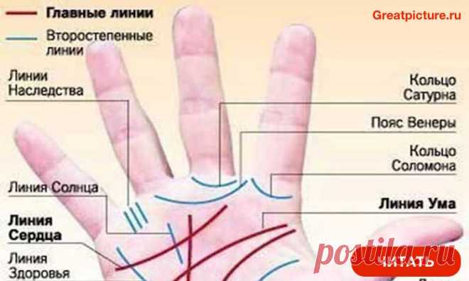 Профессия написана на вашей ладони. Не могу не согласиться с этим! Профессия написана на вашей ладони.Не могу не согласиться с этим!Кто бы мог подумать, что по линиям на ладони можно определить
