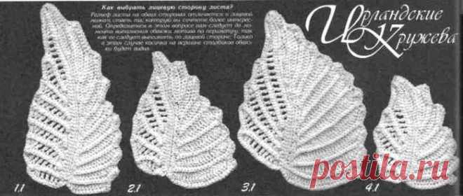 Коллекция листиков. Ирландское кружево
