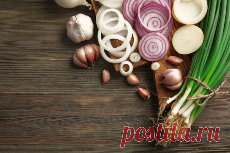 Чередование огородных культур и таблица севооборота