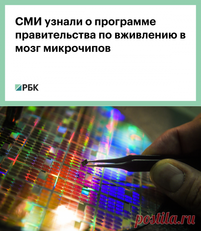 СМИ узнали о программе правительства по вживлению в мозг микрочипов :: Технологии и медиа :: РБК