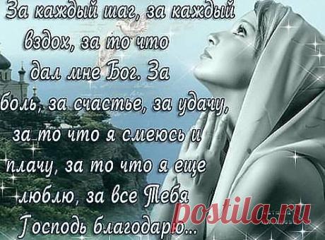 (49) Одноклассники