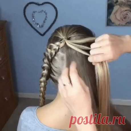 (1) Одноклассники
