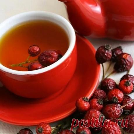 ПОЛЬЗА ОТВАРА ШИПОВНИКА