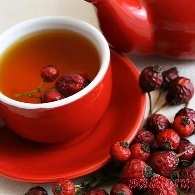 ПОЛЬЗА ОТВАРА ШИПОВНИКА