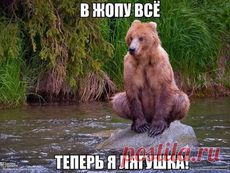 Одноклассники