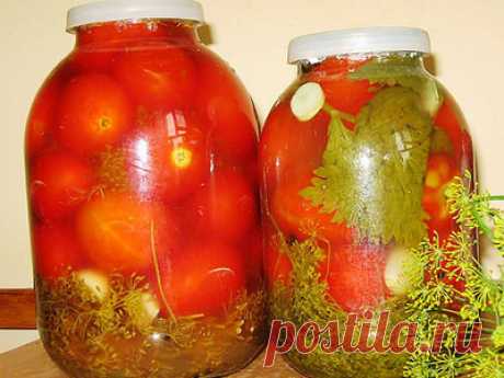 Квашеные помидоры на зиму в кастрюле, ведре и банках: вкуснятина! - Жизнь планеты