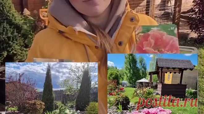 VID_20231017_185811_889.mp4