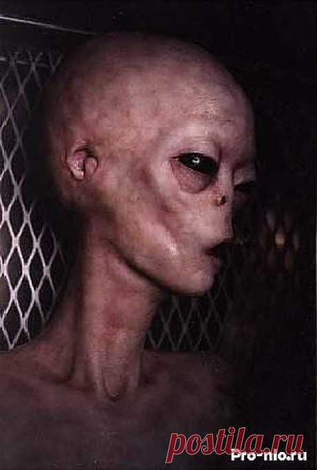 pro-nlo.ru  - ресурс про НЛО | VK