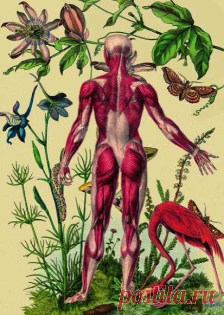 КОЖНЫХ ЗАБОЛЕВАНИЙ НЕТ — КАКИЕ БОЛЕЗНИ ПРОЯВЛЯЮТСЯ НА КОЖЕ

Кожа - это один из самых загадочных органов. Хорошие дерматологи говорят, что кожных заболеваний вообще нет. Все заболевания, которые мы видим, связаны с внутренними органами. Основное кожное заболевание - это чесотка и укусы клещей. Всё остальное связано с заболеваниями кишечника, лимфы и других внутренних органов.

Кожа является мощнейшим выделительным органом. Она спасает организм от инфекции. Если бы не было в...