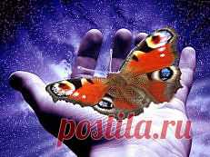 Притча “О доброте” :