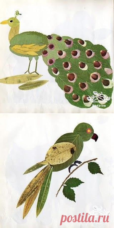 Однокласники