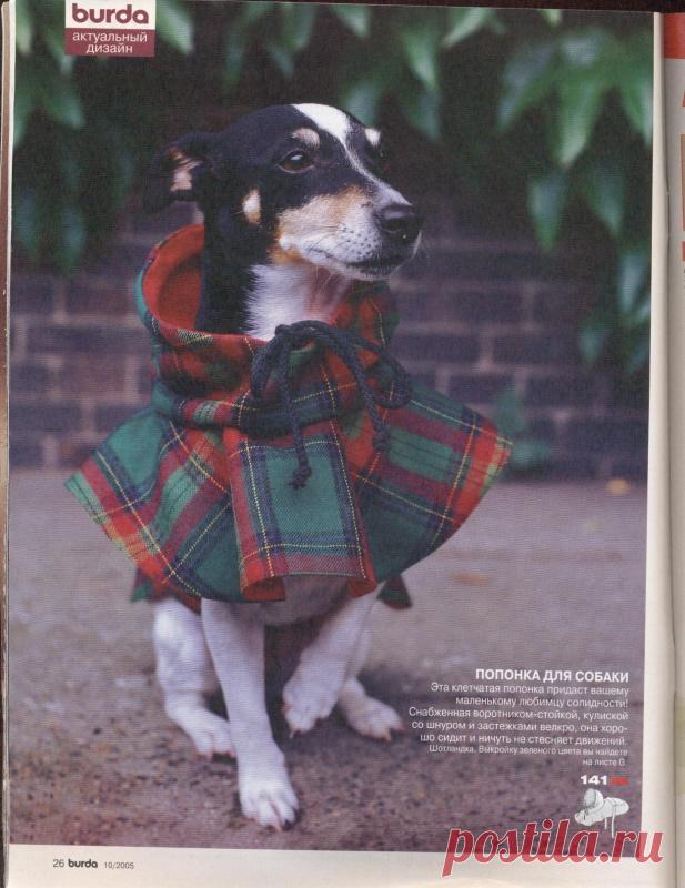 сшить попонку для собаки