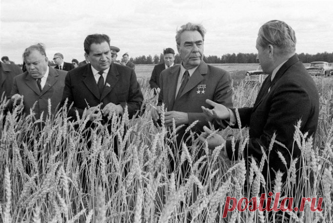 50 лет со дня прихода к власти.
фото из архива ИТАР ТАСС.