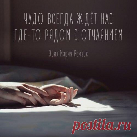 цитата