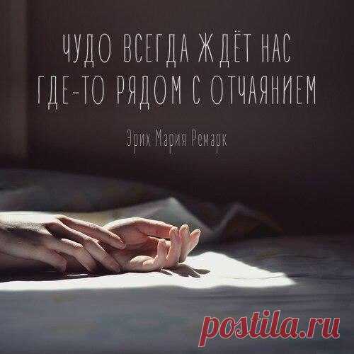 цитата