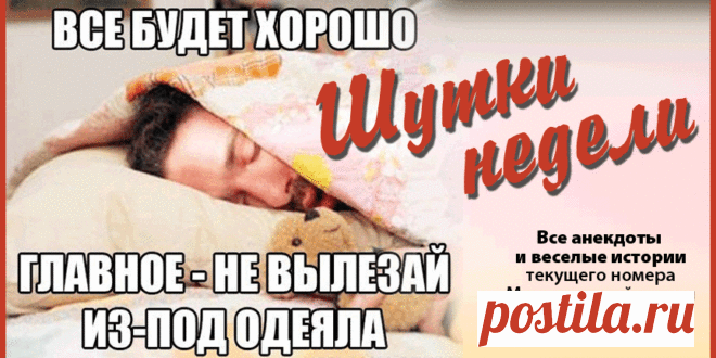 Анекдоты и шутки от Монреальской. | WEMontreal - Новости Канады и Монреаля на русском языке