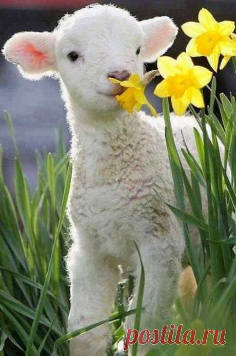 HAVE A NICE DAY