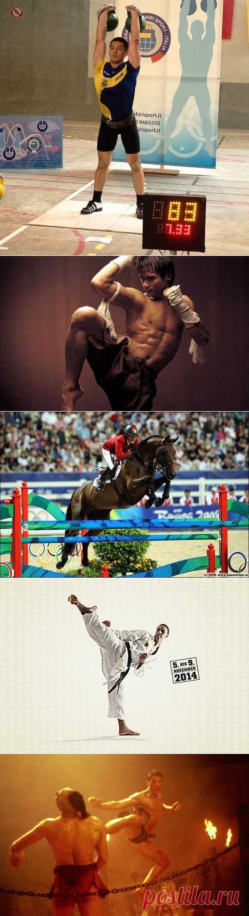 Бадминтон, Голбол, Дзюдо, Акватлон, Рэндзю. (1/1) - Спортивный форум. - Спортивный сайт