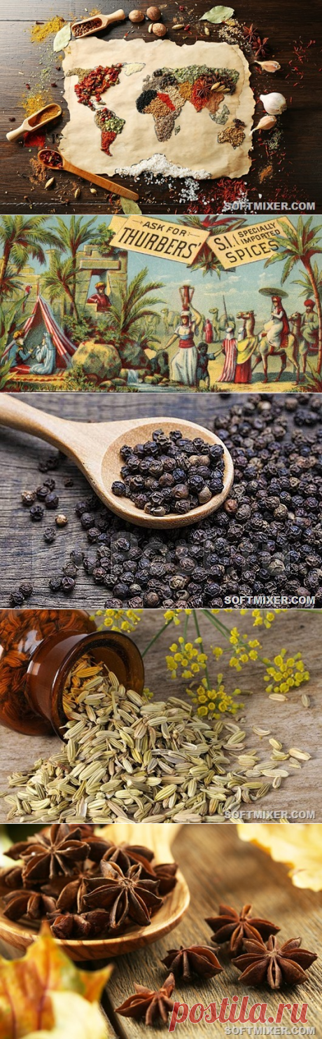 Занимательная история специй