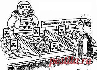 Вредные добавки и продукты