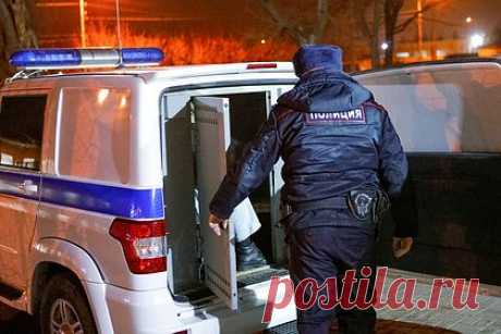 Появились подробности о найденном мертвым в лесу 14-летнем российском подростке. У подростка, тело которого обнаружили в лесу Новосибирска, несколько лет назад умерла мать. Такие подробности о школьнике рассказал местный житель, его цитирует KP.RU. Женщина, сын которой учился в одном классе с погибшим, сообщила, что в день трагедии ее ребенок и найденный погибшим подросток были на уроке географии.