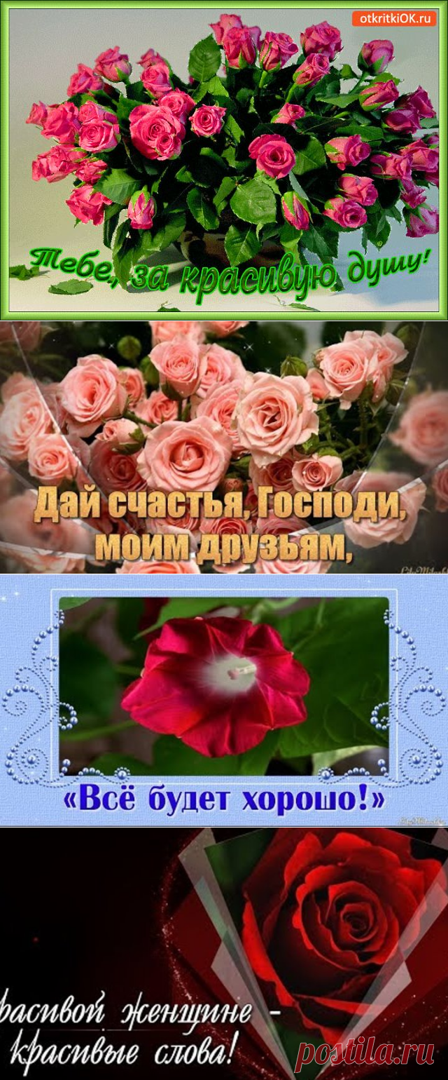(48) Одноклассники
