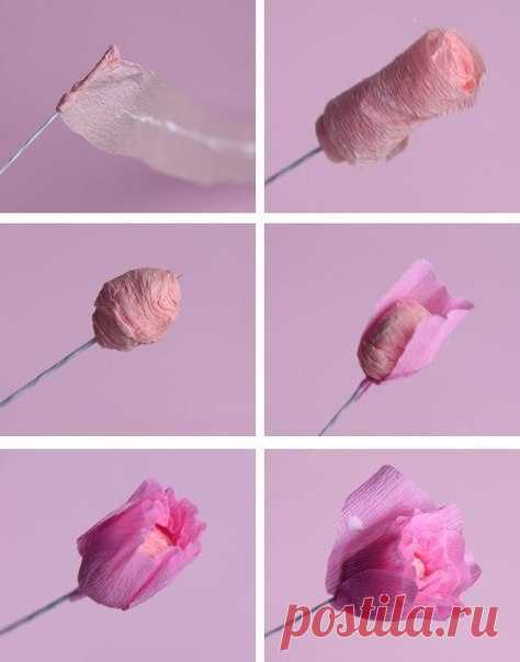 Цветы из гофрированной бумаги.