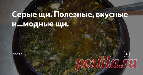 Серые щи. Полезные, вкусные и...модные щи. Щи – исконно русское блюдо. Как говорят иностранцы – первое и второе в одной тарелке. Видов щей вообще столько, сколько хозяек, ибо у каждой хозяйки – свой заветный рецепт. Но серые щи стоят особняком, это отдельное блюдо русской кухни, которое сейчас становится трендом.
Серые щи отличаются от обычных. Кто раз их попробовал, остаётся приверженцем серых щей на всю жизнь.
В былые времена серые щи