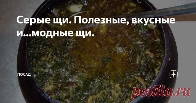 Серые щи. Полезные, вкусные и...модные щи. Щи – исконно русское блюдо. Как говорят иностранцы – первое и второе в одной тарелке. Видов щей вообще столько, сколько хозяек, ибо у каждой хозяйки – свой заветный рецепт. Но серые щи стоят особняком, это отдельное блюдо русской кухни, которое сейчас становится трендом.
Серые щи отличаются от обычных. Кто раз их попробовал, остаётся приверженцем серых щей на всю жизнь.
В былые времена серые щи