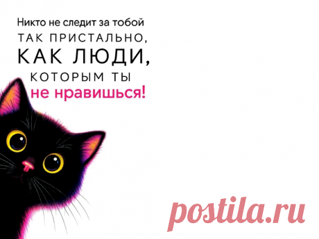 Выпуск №6441 - выпуск анекдотов сайта вокруг смеха