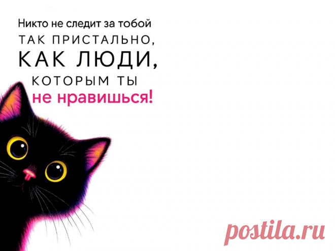 Выпуск №6441 - выпуск анекдотов сайта вокруг смеха