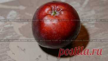 Close-up of apple on table Стоковое фото, фотограф Ilaronsia / Фотобанк Лори