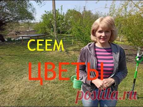 ЦВЕТЫ. Самые красивые цветы. Лучшие цветы для дачи. Бархатцы, циннии (майоры), календула (ноготки)