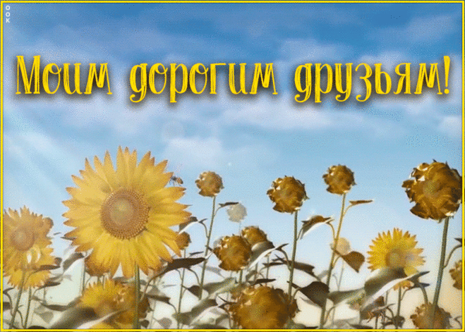 Анимация для друзей