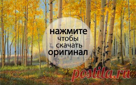 осенний лес картинки - Поиск в Google
