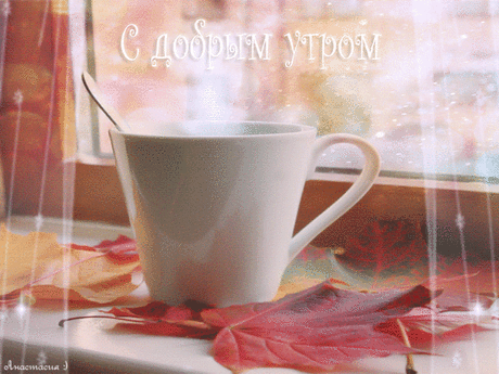 287819648.gif (600×450)