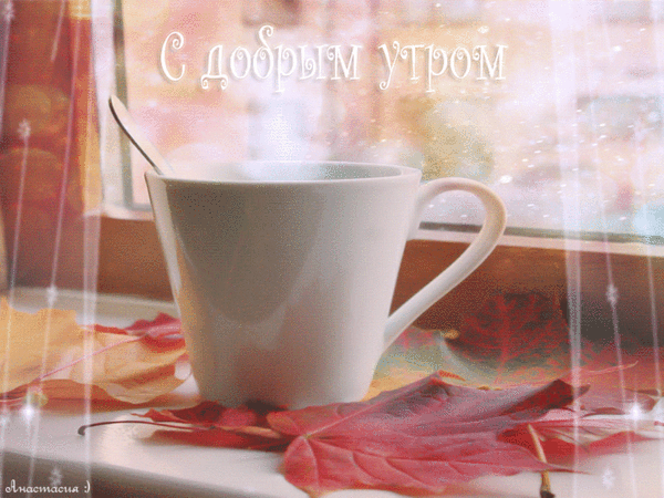 287819648.gif (600×450)