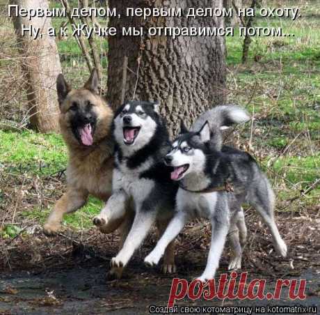Михаил Якименко